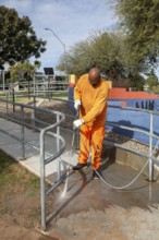 Phoenix, Arizona - A prisoner cleans a sidewalk in Wesley Bolin Memorial Plaza, a public park next