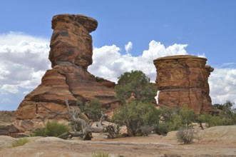 Impressive rock formations in a barren desert landscape under a partly cloudy sky, Canyonlands