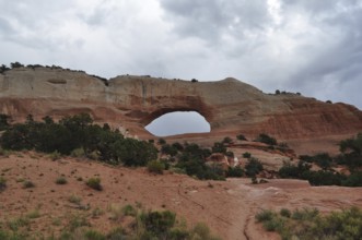 Large natural rock arch in a red desert landscape surrounded by sparse vegetation and cloudy sky,