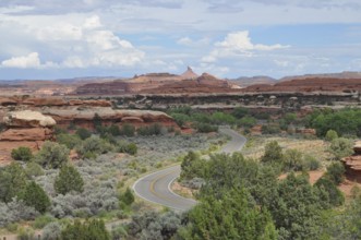 Winding road snakes through a landscape of red rocks and green vegetation under blue skies,