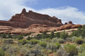 Impressive red rocks rise against a clear blue sky surrounded by dry vegetation, Canyonlands