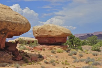 Round rock formations in a vast desert landscape with sparse vegetation and slightly cloudy sky,