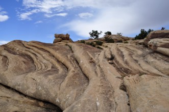 Close-up of curved rock formations under a partly cloudy sky, Canyonlands National Park, Utah, USA