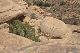 An impressive rock formation with sparse vegetation in an arid landscape, Canyonlands National