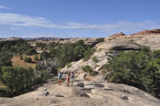 A family wandering across rocky terrain in a desert landscape under blue skies, Canyonlands