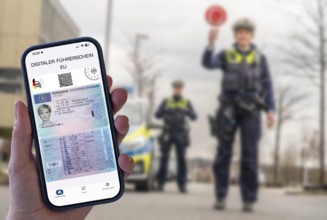 Symbolic image, photo montage, the digital driving license, on a smartphone app, should be