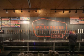 Phoenix, Arizona - A huge variety of beer is on tap at the Arizona Wilderness Brewing Co