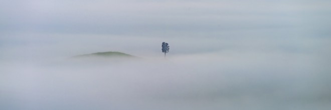 Landscape at sunrise around Volterra, Pisa province, Tuscany, Italy