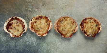 Scallop shells, stuffed, baked with cheese, in the oven, julienne with scallops