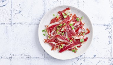 Ham of duck breast, dried duck fillet, with microgreens, plate, on a tiled table