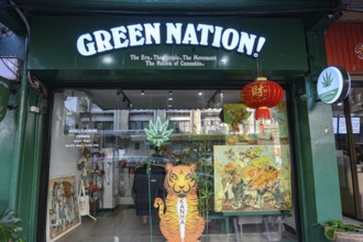 Green Nation shop for Legal cannabis and marijuana products store selling Thai weed and CBD and