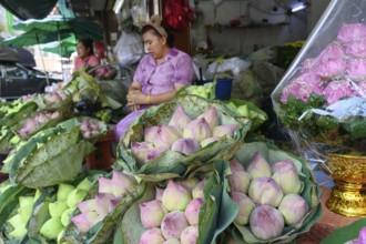 Bangkok, Thailand. March 2rd 2025. Bunches of lotus flowers for sale, Pak Khlong Talat-Bangkok