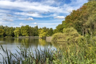 Lake in Nordpark in Gladbeck, Ruhr area, North Rhine-Westphalia, Germany