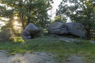 Teufelsstein Pließkowitz rock formation near Bautzen, Upper Lusatia, Saxony, Germany