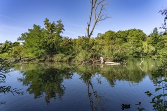 Regnitz Altwasser in Forchheim, Upper Franconia, Bavaria, Germany