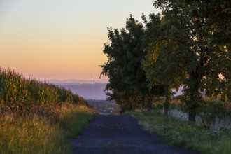 Path between corn fields at sunrise, in the background the Elbe Valley with Dresden and the