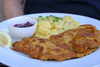 Wiener Schnitzel, food, Schlossgaststätte Wildenwart, bei Prutting, Chiemgau, Upper Bavaria,