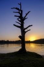 Sunset at Fonsee, Ostersee, near Iffeldorf, Upper Bavaria, Bavaria, Germany