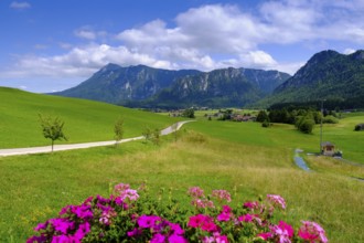 View from the Kesselalm near Inzell, to Hinterstaufen, Chiemgau, Upper Bavaria, Bavaria, Germany