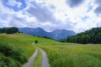 Hiking trail near Gschwendt an der Kesselalm near Inzell, Chiemgau, Upper Bavaria, Bavaria, Germany