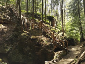 Wooden stairs lead through a forest surrounded by rocks, shadows and light play give an adventurous