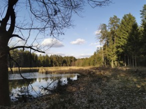 A wooded area with a clear lake and trees under a clear sky, on the former inner-German border,