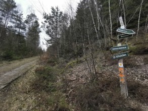 Signs guide hikers through a wooded path in autumn, on the former inner-German border, hiking along