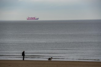 Winter break, on the Zeedijk-Knokke, beach promenade in Knokke-Heist, beach walkers with dogs,