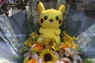 Yellow Pikatchu, Pokémon, fictional character of a video game in a shop window, Bavaria, Germany