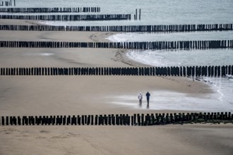Coastal protection, through wooden posts, paalhoofden, on the beach, breakwater, the piles, some of