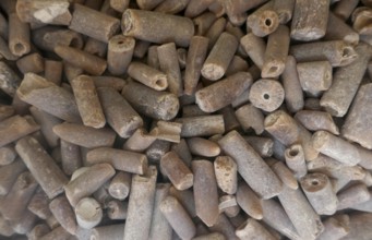 Fossils, thunderbolts or devil's fingers. Fossilised inner skeletons (rostrums) of extinct