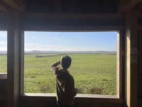 Boy watching cranes with binoculars, Perfect place to watch cranes, Nabu, Crane panorama at Günzer