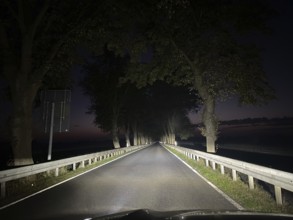 At night on an alley in Fischland-Darß-Zingst, Mecklenburg-Western Pomerania, Germany