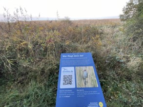 Information board in the national park near Bisdorf, Western Pomerania Lagoon Area National Park,