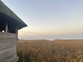 Perfect spot to watch cranes. Crane observation site near Bisdorf. Western Pomerania Lagoon Area