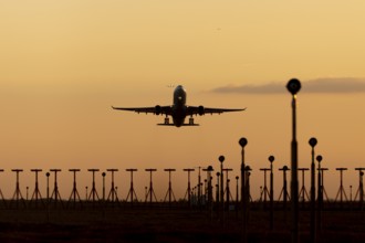 Boeing 737 commercial passenger airliner jet aircraft of Ryanair airlines in flight taking off at