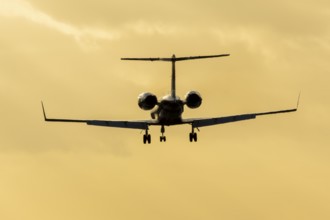 Gulfstream GIV SP XA-FDM executive business jet aircraft in flight on approach to land silhouette