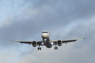 Airbus A321 commercial passenger airliner jet aircraft of Pegasus airlines flying on approach to
