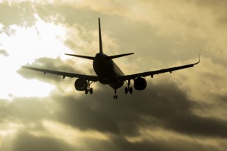 Airbus A321 commercial passenger airliner jet aircraft of Pegasus airlines flying on approach to