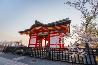Red Nishimon Gate and blossoming cherry tree in the evening light, Kiyomizu-dera Temple, in the