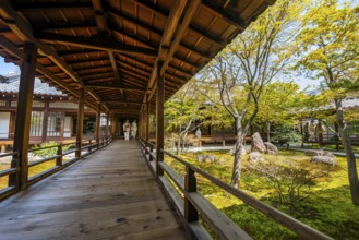 Japanese woman dressed in kimono in Kennin-ji Buddhist temple, O-shoin courtyard with Shione