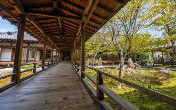Passage in O-shoin with Shione Garden, Buddhist Kennin-ji Temple, Higashiyama, Kyoto, Japan