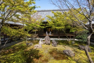 Two Japanese woman dressed in kimono sitting at an open door, O-shoin courtyard with Shione Garden,