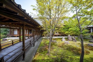 O-shoin courtyard with Shione Garden, Kennin-ji Temple, Higashiyama, Kyoto, Japan