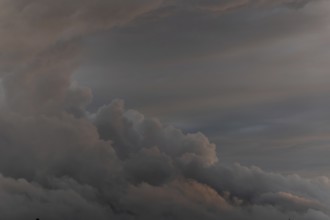 Clouds form in the sky. It is late in the day. The clouds are thick and grey. The sky shows various