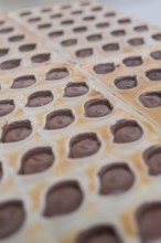 Filled chocolate mold with solidifying chocolate, vegan chocolates production, Haselstaller Hof,