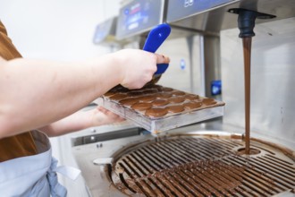 Chocolate mold is removed from chocolate machine, Vegan Chocolates Production, Haselstaller Hof,