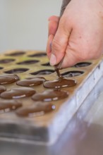 Hand fills chocolate into a mold on a table with a piping bag, vegan chocolates production,