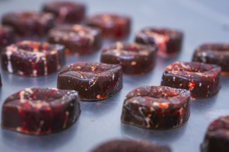 Close-up of red and brown chocolates presented on a blue tray, Vegan Chocolates Production,