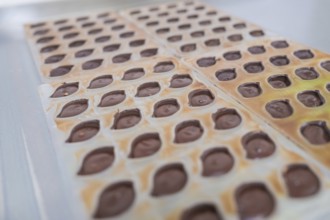 Close-up of chocolate molds with liquid chocolate on a table, vegan chocolates production,